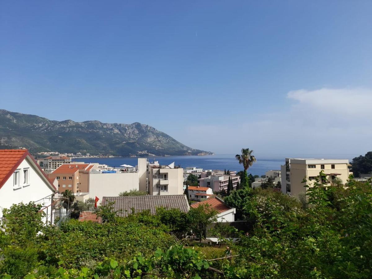 Marina Becici (Budva)