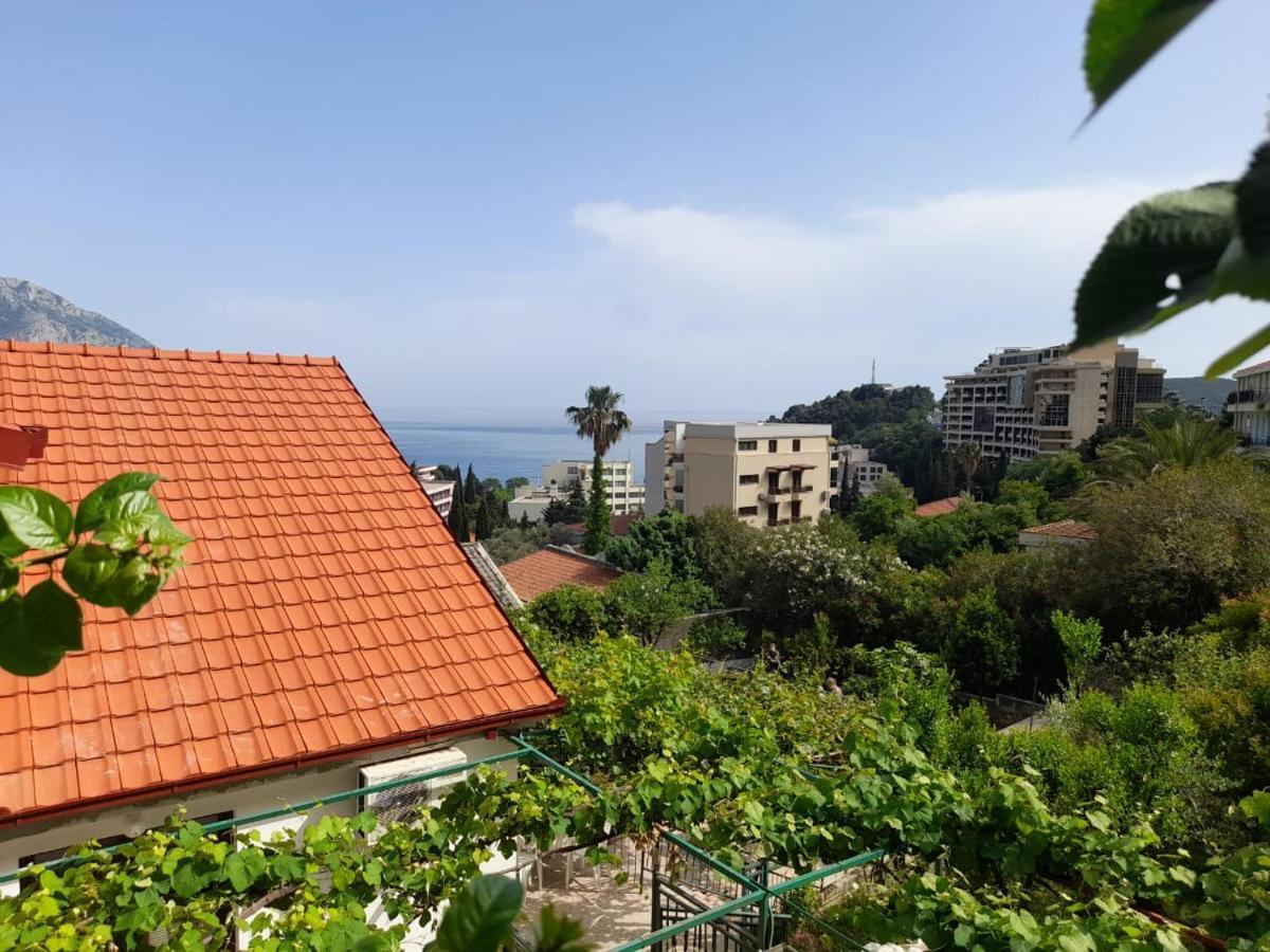 Marina Apartment Becici (Budva)