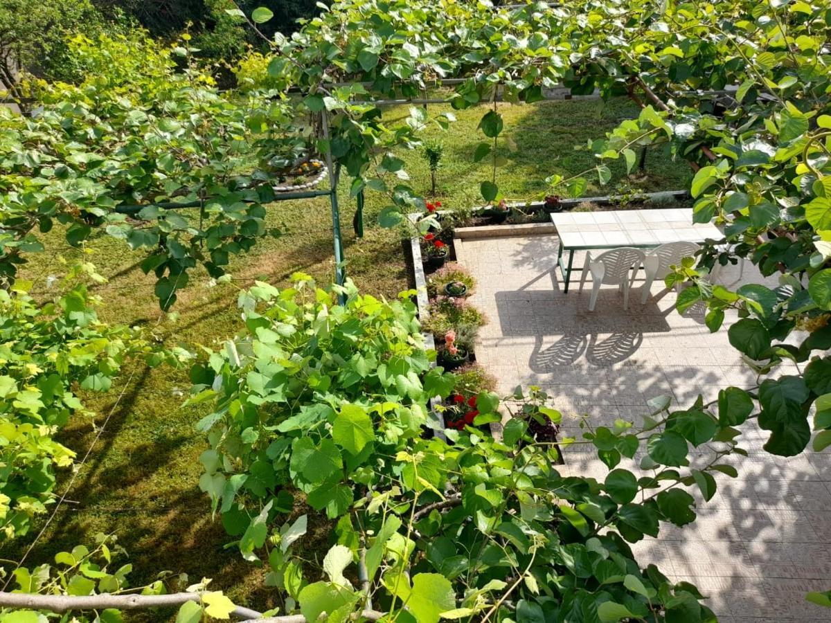 Marina Apartment Becici (Budva)