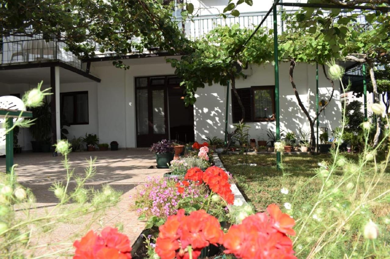 Apartment Marina Becici (Budva)
