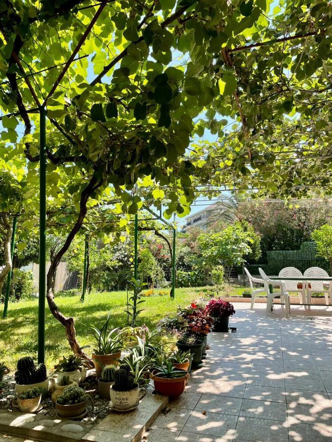 Apartment Marina Becici (Budva)