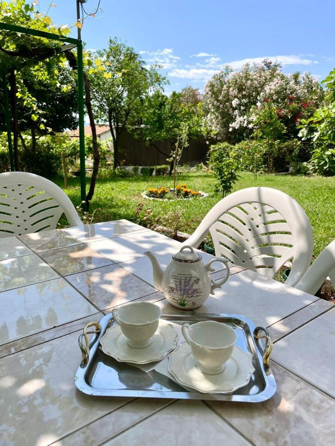Marina Apartment Becici (Budva)